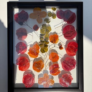 Botanical art in frame, Hanging flower framed, dried flowers in glass frame, Wall decor, Pressed flower art, Real dried flower, herbarium