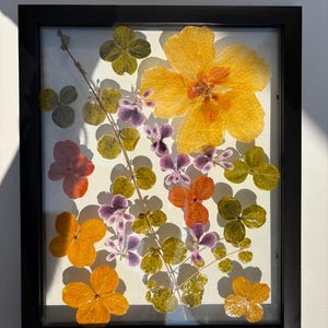 Botanical art in frame, Hanging flower framed, dried flowers in glass frame, Wall decor, Pressed flower art, Real dried flower, herbarium
