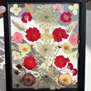 Pressed Flower Art in Floating Frame: Real Dried Herbarium