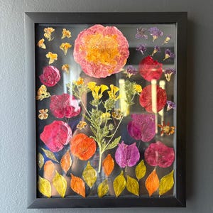 Botanical art in frame, Hanging flower framed, dried flowers in glass frame, Wall decor, Pressed flower art, Real dried flower, herbarium