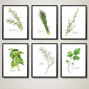Culinary Herb Art Set of 6 for Kitchen | Dining Room Art | Culinary Art | Herb Painting