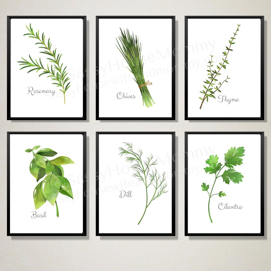 Culinary Herb Art Set of 6 for Kitchen | Dining Room Art | Culinary Art ...