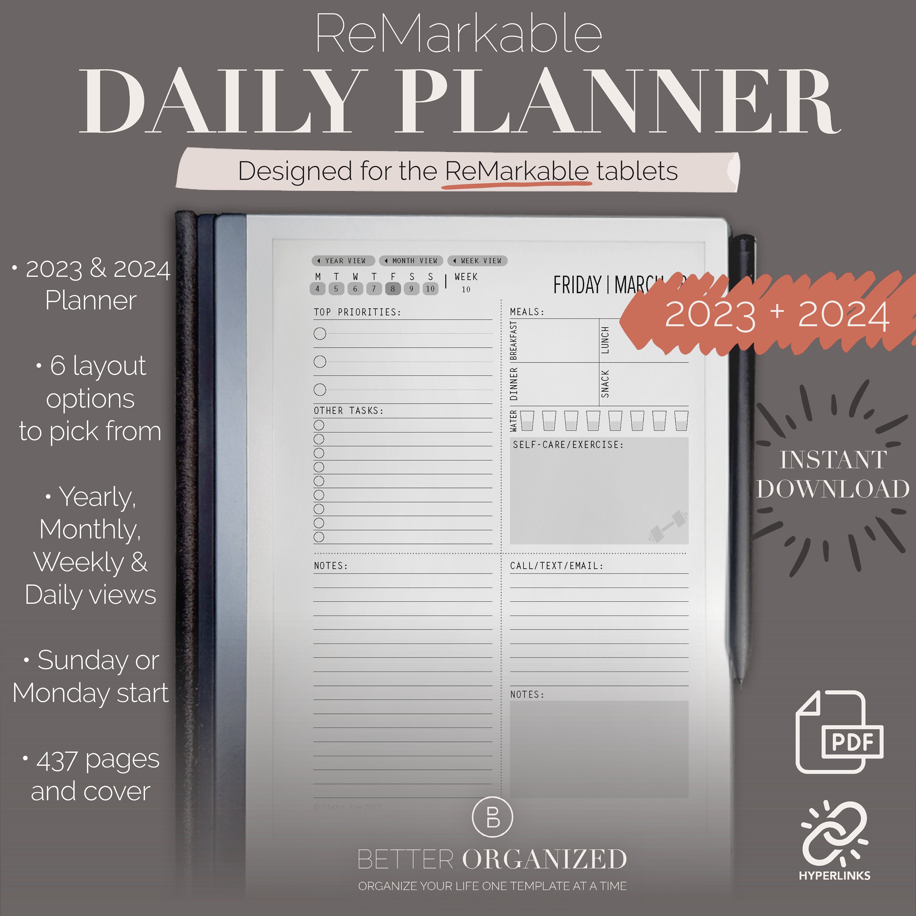 Remarkable 2 Daily Planner Standard Edition, 2024, 2025, Remarkable  Templates, Calendar 
