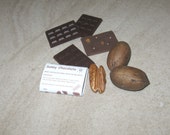 12 Raw handmade mini chocolates with Pecan Nuts - Vegan chocolate - Raw chocolate - Healthy Sweets