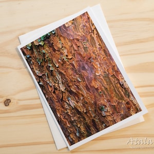 Oriental Shag Bark, Blank Tree Spirit Greeting Card. Nature Spirit Photography by Atala Toy.