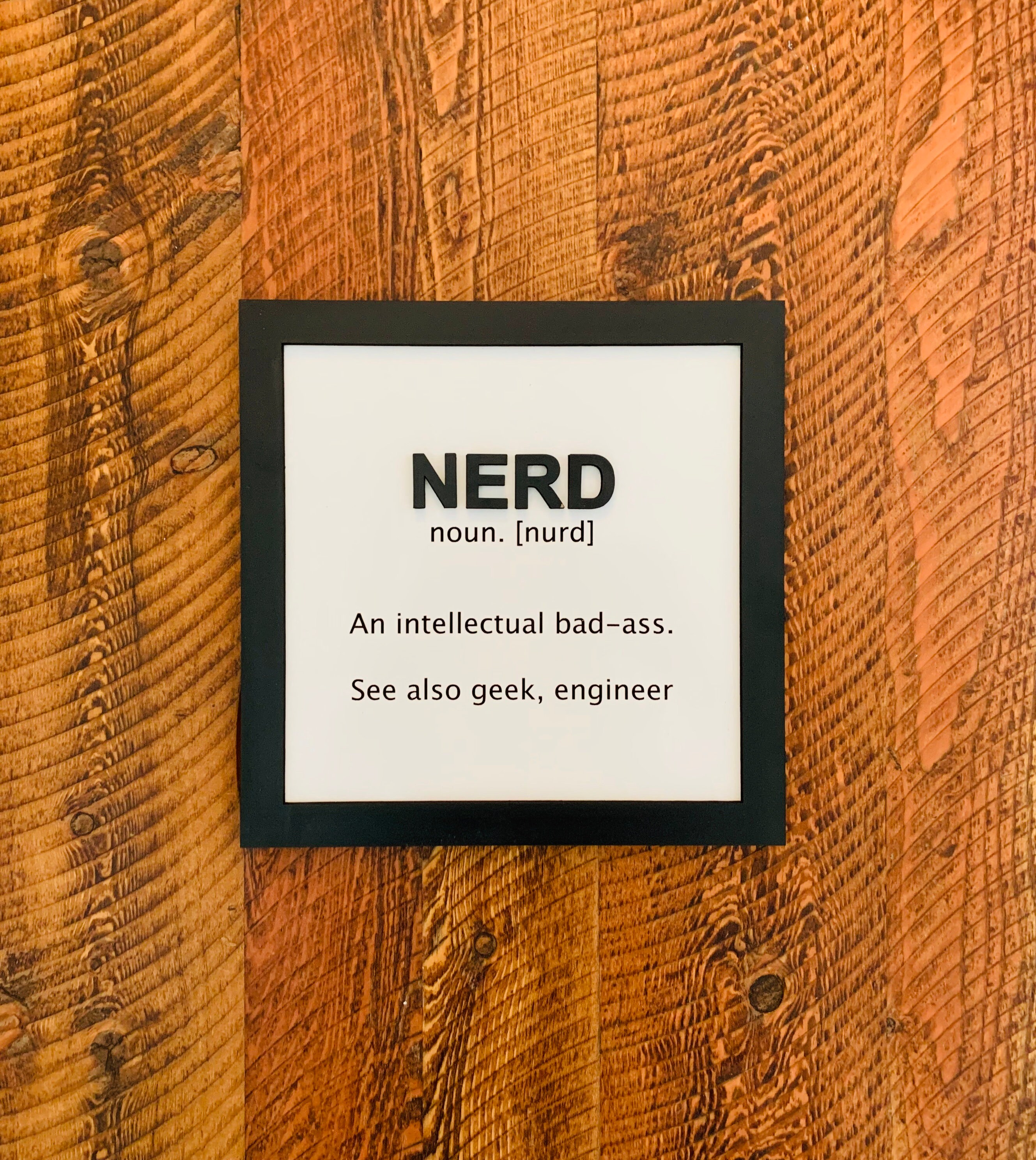 NERD Definition Framed Quote Sign Etsy