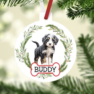 May include: White round Christmas ornament featuring a watercolor illustration of a Bernedoodle puppy. The puppy is black, white, and brown, with the name "BUDDY" on a bone-shaped design. The ornament is decorated with a green wreath and red berries.