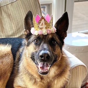 Number Party Crown, Dog Birthday Party Hat, Crown, Birthday Pawty Hat, Dog Birthday Decorations, Dog Mom Gift, Gift for Dog Dog Party Hat