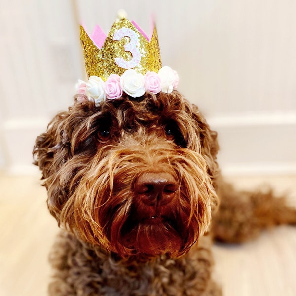 Dog Party Crown, Dog Birthday Party Hat, Party Crown, Birthday Pawty Hat, Dog Birthday Decorations, Dog Mom Gift, Gift for Dog Dog Party Hat