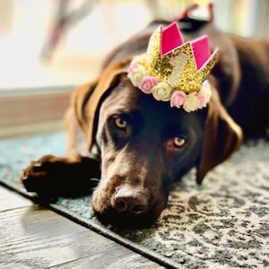 Dog Party Crown, Dog Birthday Party Hat, Party Crown, Number 1 crown, Cake Smash Crown, Dog Mom Gift, First Birthday Crown, Dog Party Hat!