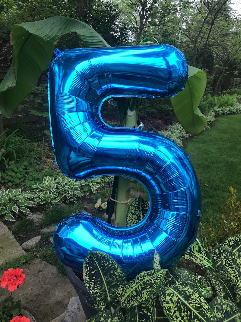 Number Balloons Birthday Party Decoration Any Birthday Balloons Large 34 Foil Birthday Party Balloon Number Party Balloons image 9