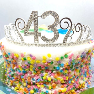 43rd Birthday tiara, Birthday Headband, 43 Birthday Party Tiara, 43 Birthday Crown, 43rd Birthday Party Decoration, 43 gift!