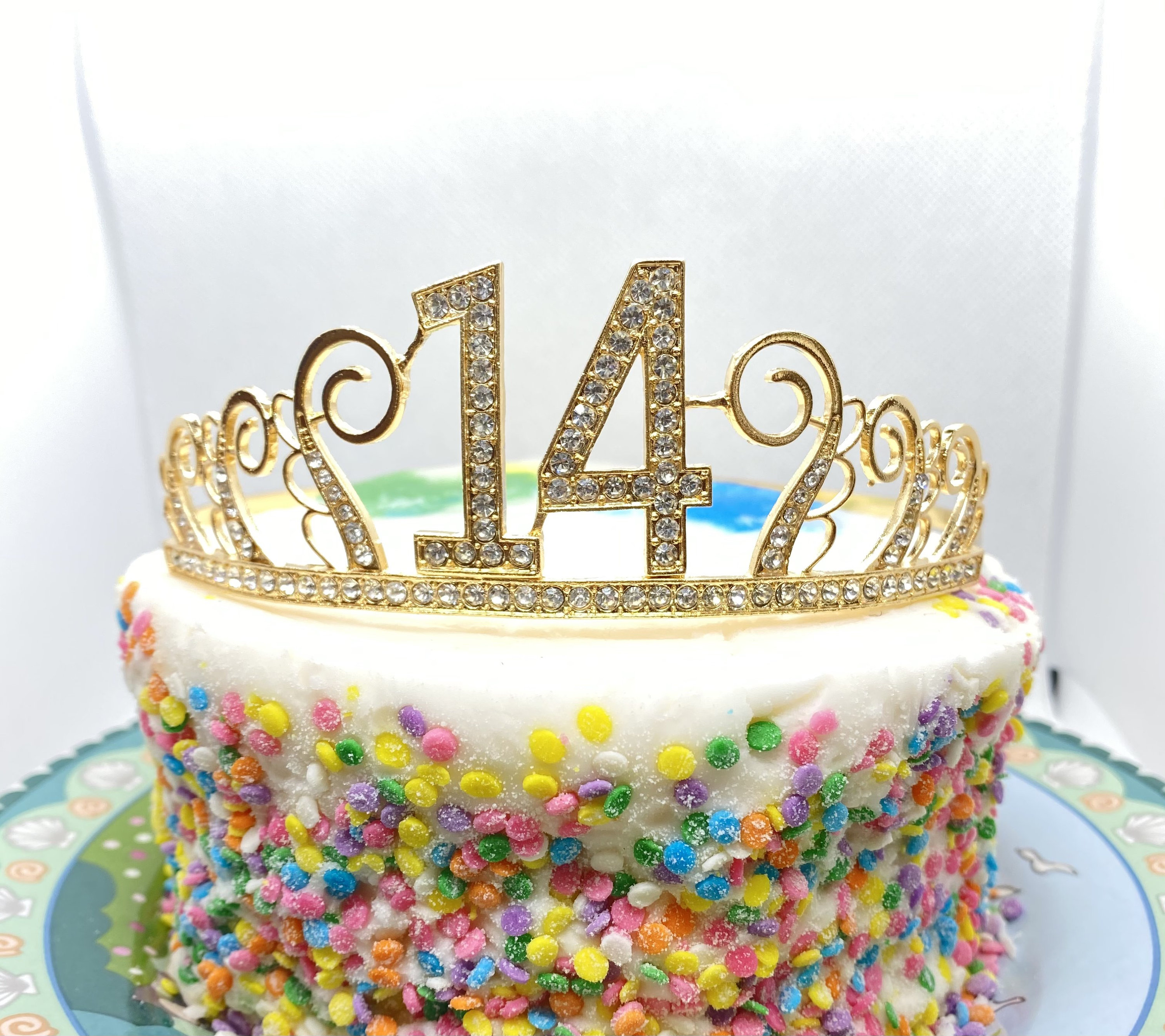 14th Birthday Tiara 14 Birthday Headband 14 Birthday Party - Etsy