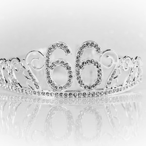 66th Birthday tiara, 66th Birthday Gift, 66 Birthday Party Tiara, 66th Birthday Crown, 66th Birthday Party Decoration, 66 Year old gift!