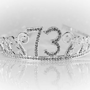 73rd Birthday tiara, Birthday Headband, 73rd Birthday Party Tiara, 73 Birthday Crown, 73 Birthday Party Decoration, 73rd gift!