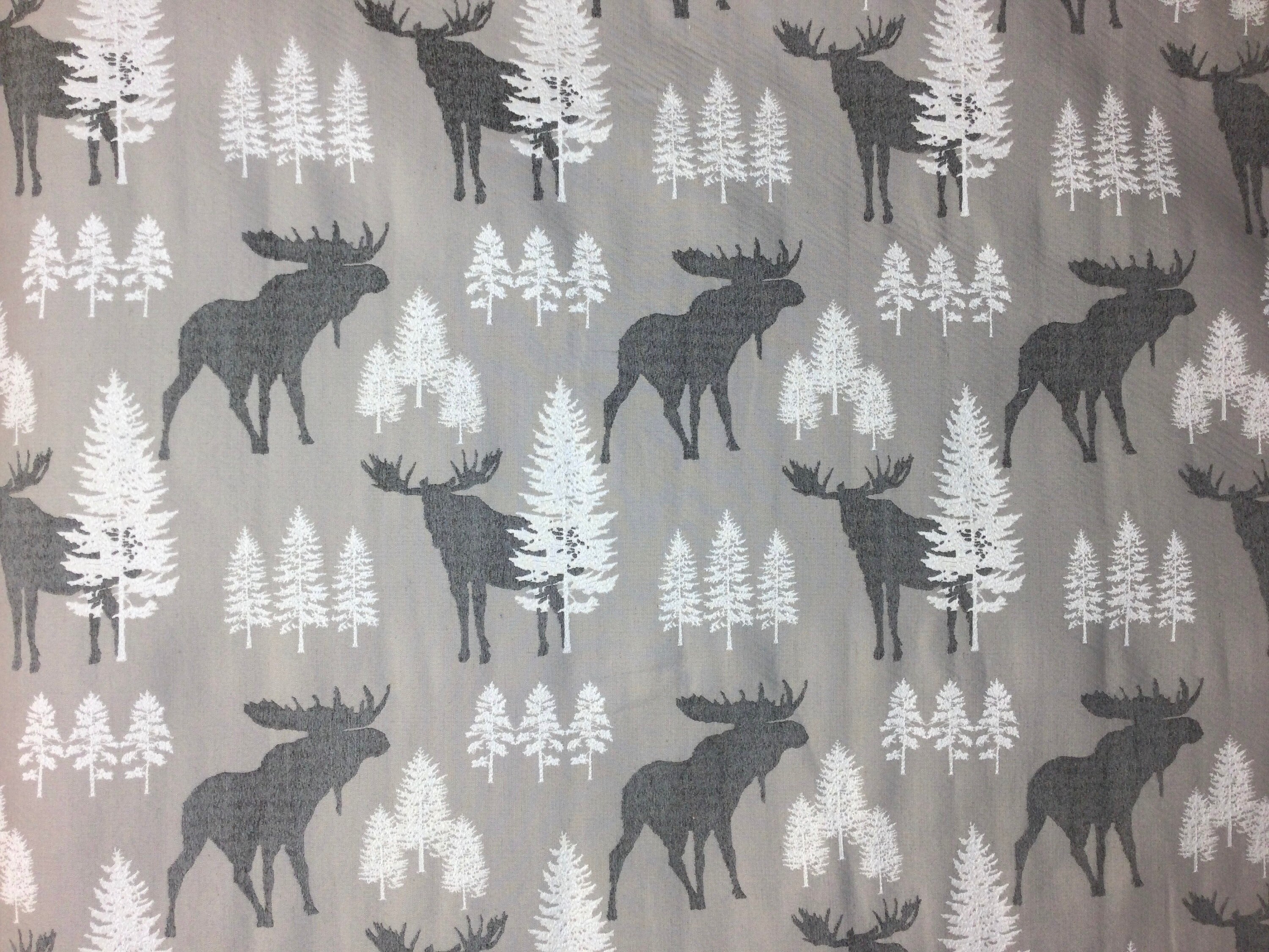 Grey Moose - White Trees - Forest Design - Gray - White
