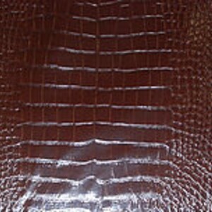 Copper Crocodile Vinyl