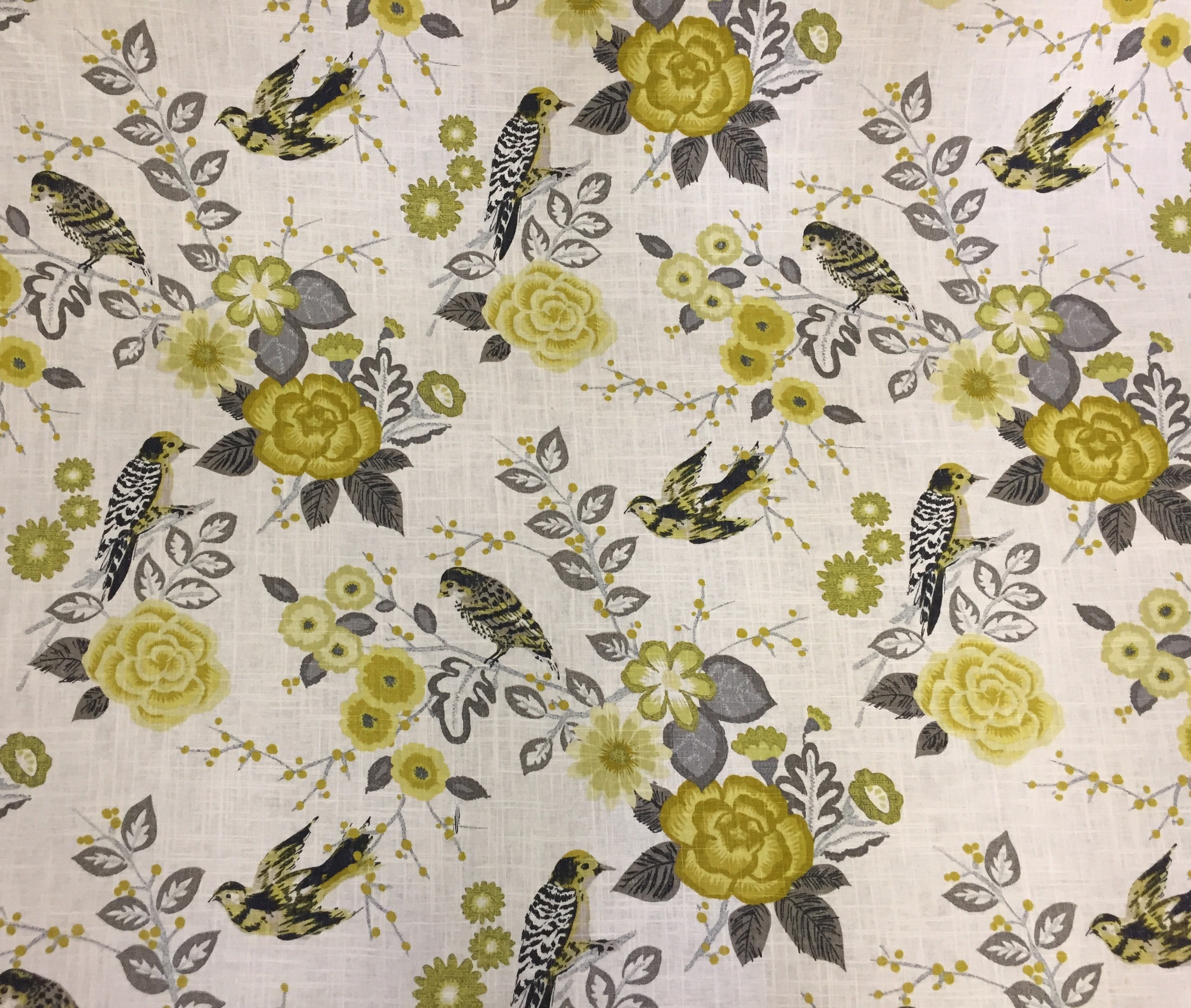 Tristan Leaf Green Tropical Drapery Fabric by Richloom Platinum