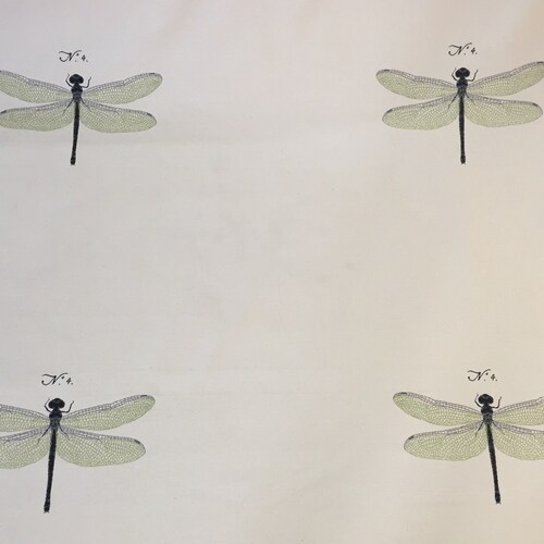 dragonfly pillow covers