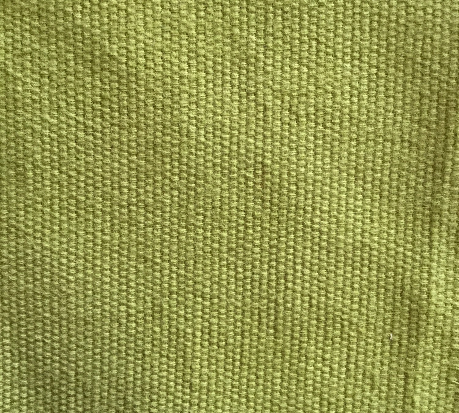 Dorian Grass Upholstery Fabric Green and Navy Fabric -  Singapore