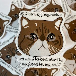 Cat Selfie Sticker - New Girl Sticker - Winston Bishop Sticker