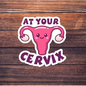 At Your Cervix Sticker - Female Anatomy Sticker - Medical Pun Sticker - Labor & Delivery Nurse - OBGYN - OB/GYN Surgery