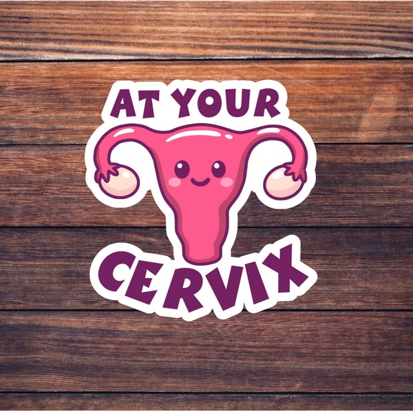 At Your Cervix Sticker - Female Anatomy Sticker - Medical Pun Sticker - Labor & Delivery Nurse - OBGYN - OB/GYN Surgery