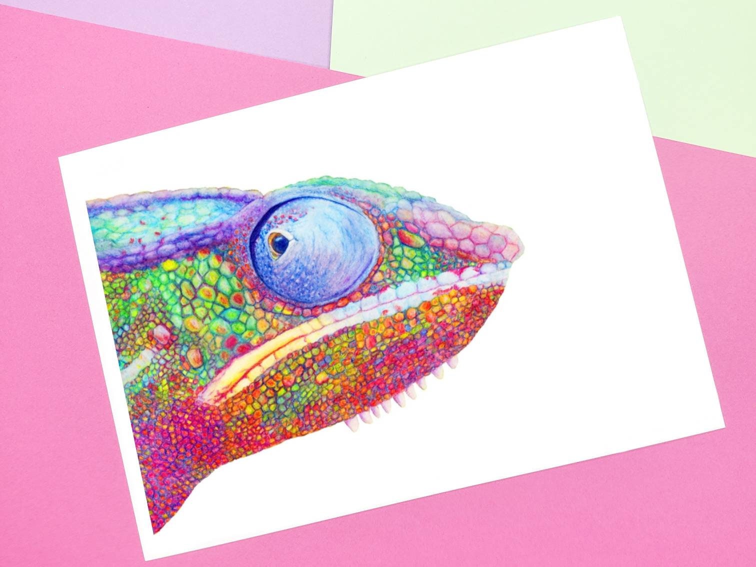 Reptile Art Prints Greeting Cards Etsy