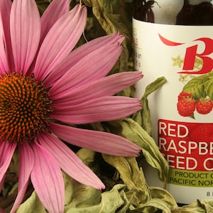 Red Raspberry Seed Oil 8 Fl Oz (237 ml) - Cold-Pressed by Berry Beautiful from Washington State Grown Red Raspberries