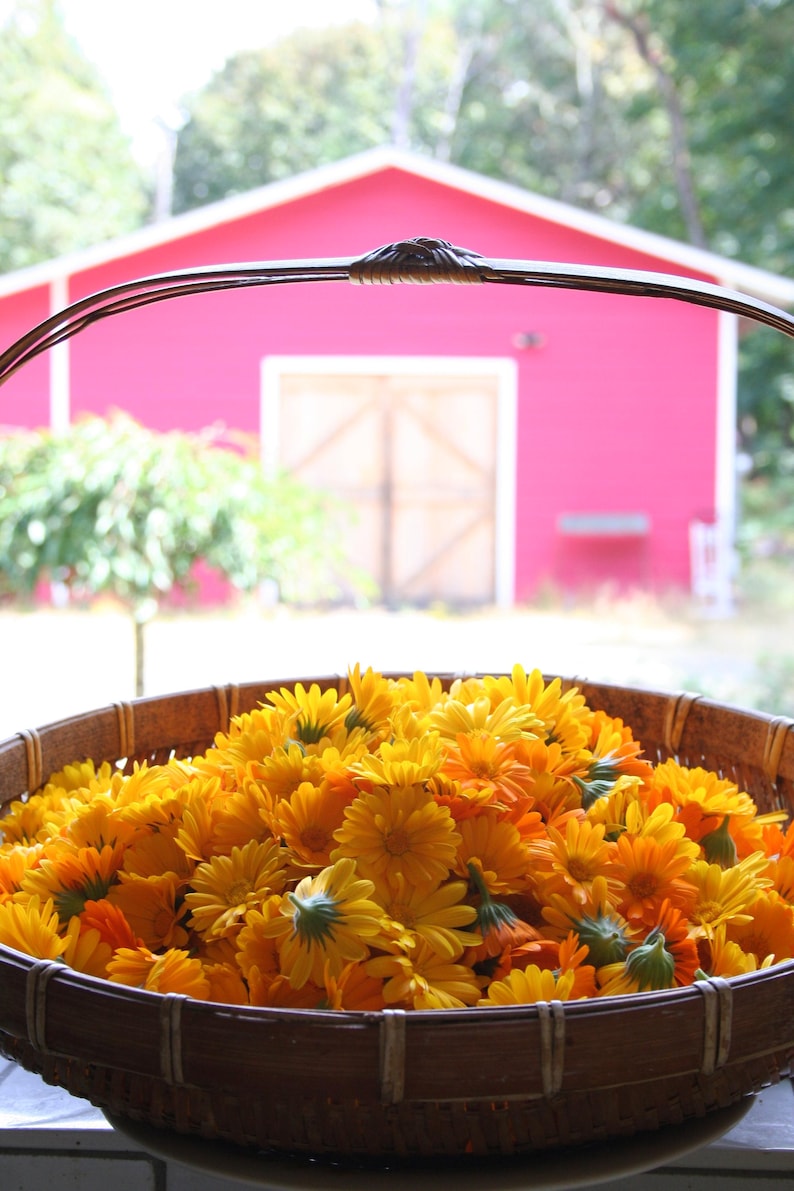May include: A wicker basket filled with bright yellow and orange calendula flowers. The basket is in front of a red barn with a wooden door.
