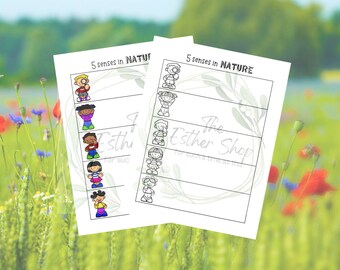 5 Senses Nature Walk Worksheet: Preschool Kindergarten Activity ...