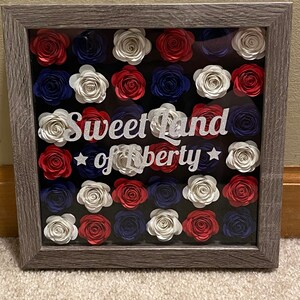 Patriotic Rolled Flower Shadow Box
