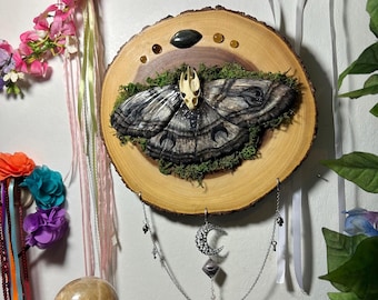 Moth Skull Wall Hanging: Labradorite, Quartz, Moon Charm on Wood