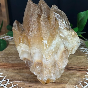 Dog Tooth Calcite Specimen - Calcite - Healing Crystals - Large Statement Piece