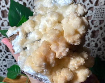 Botryoidal White Aragonite Specimen: Moroccan Cave Calcite, UV Reactive