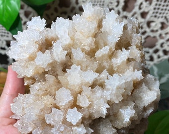 UV Reactive White Aragonite Specimen: Floss Ferri Formation, Morocco