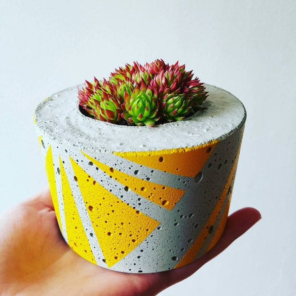 Concrete Succulent Planter, Colourful Geometric pattern