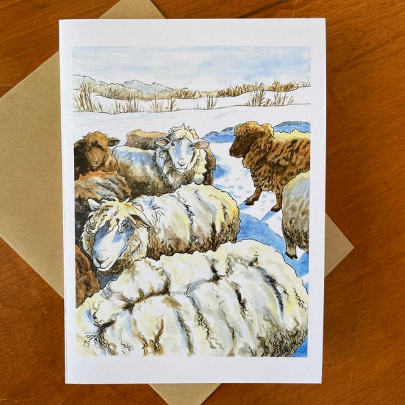 Romney Sheep Greeting Cards (blank inside), 5x7 inches, A7