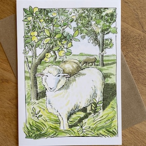 Romney Sheep in Orchard Greeting Cards (blank inside), 5x7 inches, A7