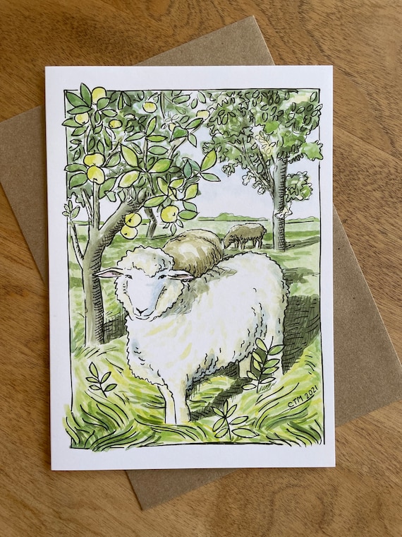 Romney Sheep in Orchard Greeting Cards (blank inside), 5x7 inches, A7