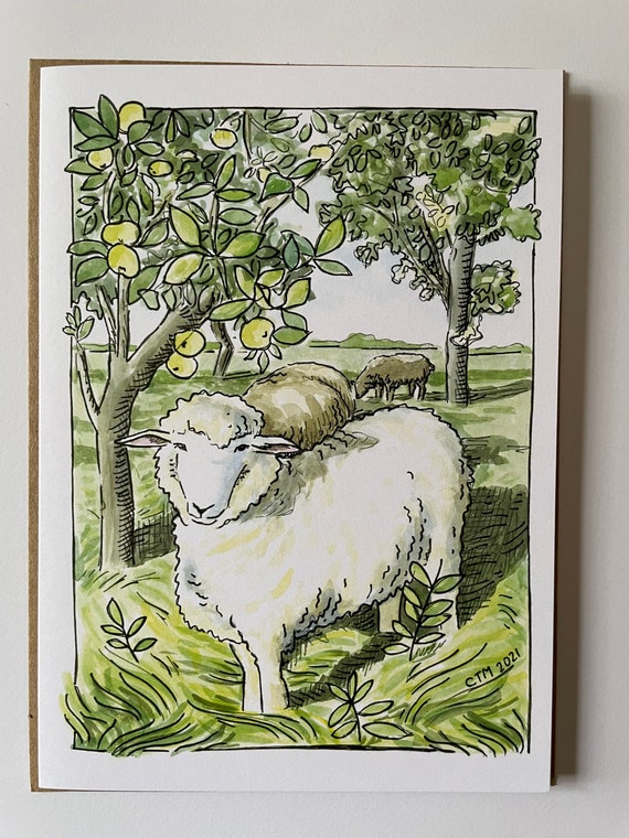 Romney Sheep in Orchard Greeting Cards (blank inside), 5x7 inches, A7