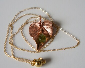 Ehrliche anhaenger tropen