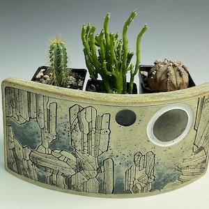 May include: A ceramic planter with a curved shape and a geometric design in shades of gray and white. The planter has three compartments, each holding a different type of succulent plant.