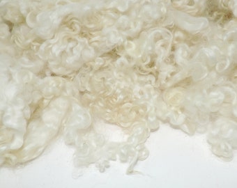 Off White Wool Locks Spinning Curls Needle Felting 10g Natural Cream