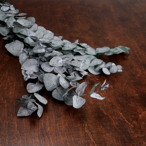 Preserved Eucalyptus Branches – Real Silver Sage Green Leaves for Wedding Bouquets, DIY Floral Decor & Craft Greenery | 150g Bundle