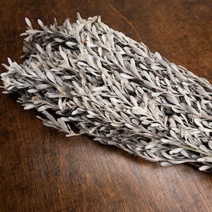 DIY-boeket geconserveerde zilveren leucadendronbos, ambachtelijke zilveren bladeren, winterbruiloftboeket, echt groen salie zilvergroen