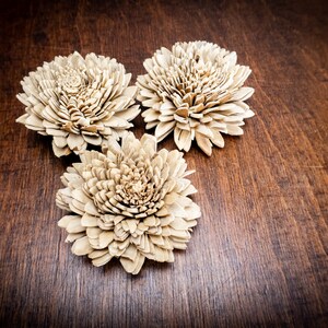 Fiori di corteccia di legno Skin Sola, decorazione di nozze marrone avorio, fornitura floreale bouquet fai da te, rustico naturale, arredamento da tavola zinnia da 10 pezzi 6 cm