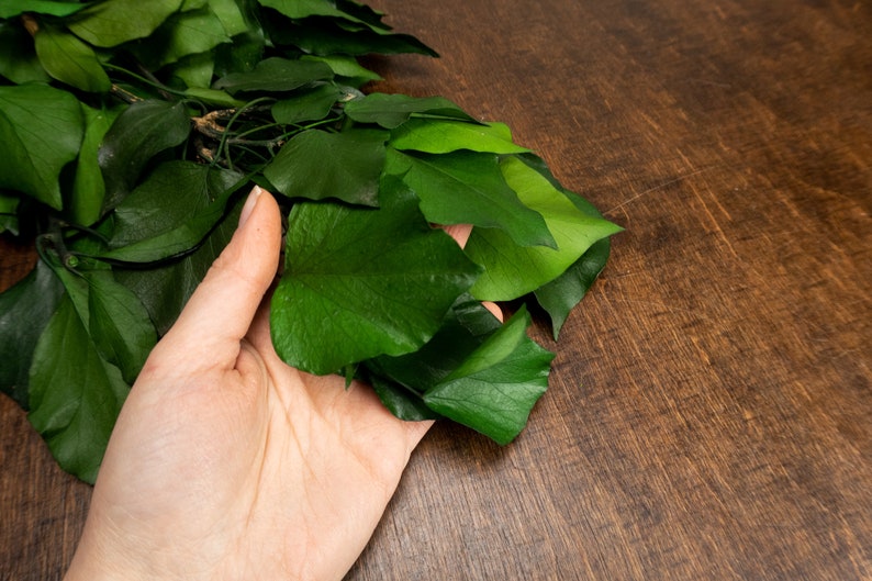 Vibrant Green Real Preserved Greenery DIY Bouquet Preserved Etsy