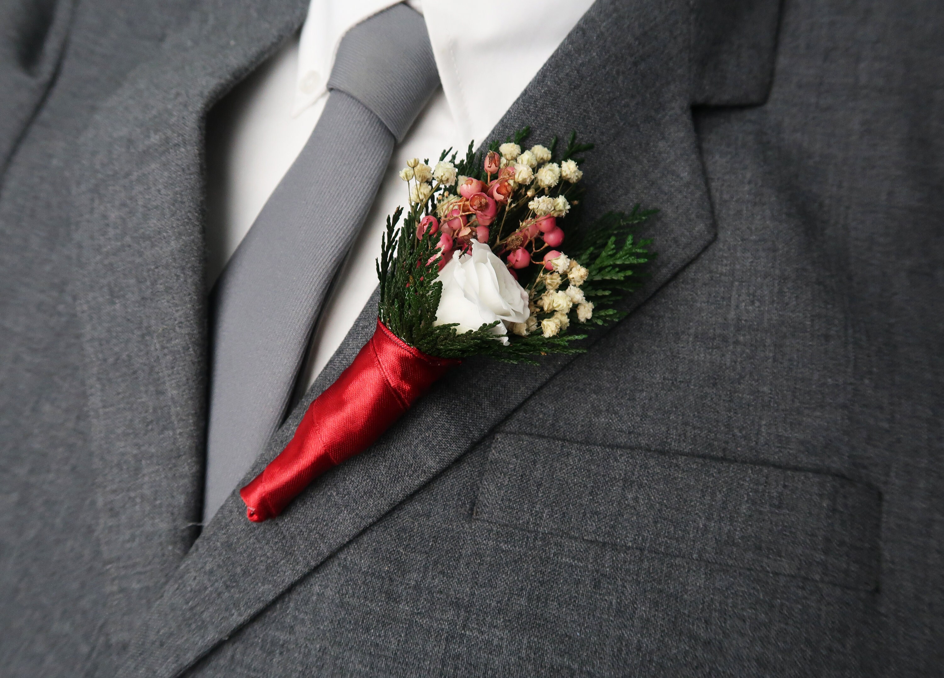 The real winter rose