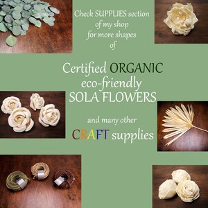 Small Sola Flowers, diy wedding floral decorations, ivory wooden flowers wholesale, florist supply, 4cm 1,5 natural table decor confetti image 9